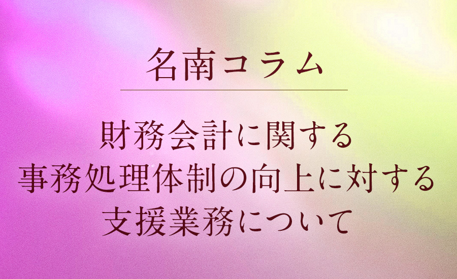 財務会計に関する事務処理体制の向上に対する支援業務について